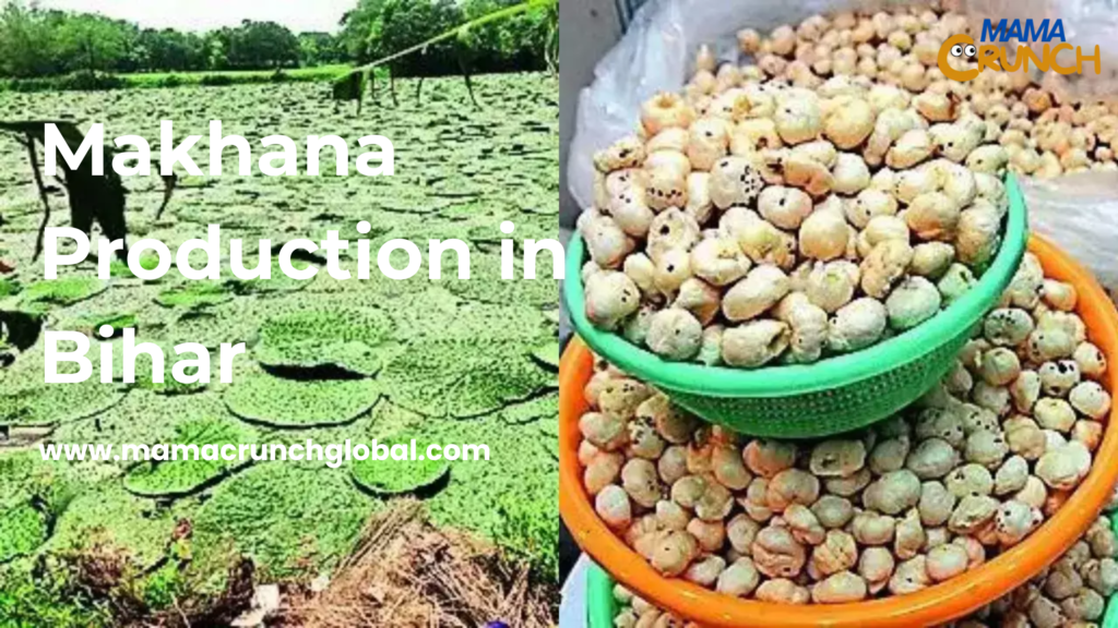 Makhana Production in Bihar
