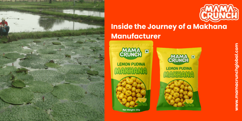 Inside the Journey of a Makhana Manufacturer in Bihar